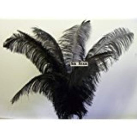 Ostrich Deluxe Formal BLACK- Feather Plume 20-26" Long-10 Pcs.- by Six Star Sales for Eiffel Tower Vase