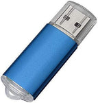 RAOYI 10Pack 2G 2GB USB Flash Drive USB 2.0 Memory Stick Thumb Drive Pen Drive Blue