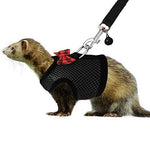 RYPET Small Animal Harness and Leash - Soft Mesh Small Pet Harness with Safe Bell, No Pull Comfort Padded Vest for Small Pet