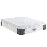 Classic Brands Cool Gel 1.0 Ultimate Gel Memory Foam 14-Inch Mattress with BONUS 2 Pillows, Queen