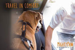 Mighty Paw Dog Seat Belt | Pet Safety Belt, Created with Human Seatbelt Material. All-Metal Hardware with Adjustable Length Strap. Exceeds Dog Safety Standards. Keep Your Dog Secure in The Car