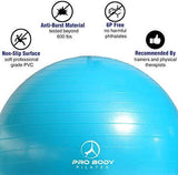 Exercise Ball - Professional Grade Anti-Burst Fitness, Balance Ball for Pilates, Yoga, Birthing, Stability Gym Workout Training and Physical Therapy