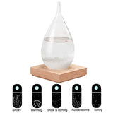 Storm Glass Weather Predictor-Creative Stylish Desktop Storm Glass Weather Bottle Forecast Perfect for Christmas/Birthday Gift and Home/Office Decorations