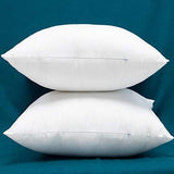 YSTHER Set of 2, Down and Feather Cushion, Decorative Throw Pillow Insert 18x18 for Couch