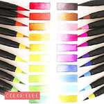 24+2pcs Pastel Markers/Drawing Pens for Artists - Brush Lettering Pens with Blending Markers/Watercolor Brush Markers for Color Painting - Brush Tip, Art Pens and Markers/Pastel Art Supplies