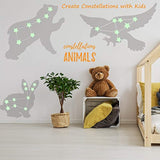 Glow in The Dark Stars for Ceiling or Wall Stickers - Glowing Wall Decals Stickers Room Decor Kit - Galaxy Glow Star Set and Solar System Decal for Kids Bedroom Decoration by MAFOX