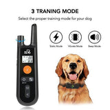 Dog Training Collar - Rechargeable Dog Shock Collar w/3 Training Modes, Beep, Vibration and Shock, 100% Waterproof Training Collar, Up to 1000Ft Remote Range, 0~99 Shock Levels Dog Training Set by DOG CARE