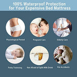 EMONIA Queen Size Waterproof Mattress Protector Hypoallergenic Pad Cover Breathable Fitted Style 8"-21"