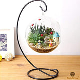 SunGrow 3 Hanging Glass Terrariums Spherical Air Plant Orb - Handmade, Heat-Resistant Glass - Create Refreshing Atmosphere in Terrace Garden - Rocks, Plants & Other Accessories NOT Included