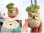 6 Pcs Mini Small Ceramic Owl Succulent Plant Pot Flower Planter Holder Cactus Planter Pot Flower Pot Container Planter