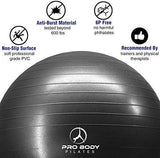 Exercise Ball - Professional Grade Anti-Burst Fitness, Balance Ball for Pilates, Yoga, Birthing, Stability Gym Workout Training and Physical Therapy