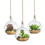 SunGrow 3 Hanging Glass Terrariums Spherical Air Plant Orb - Handmade, Heat-Resistant Glass - Create Refreshing Atmosphere in Terrace Garden - Rocks, Plants & Other Accessories NOT Included