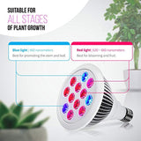 Indoor LED Grow Light Bulbs w/ Clamp Reflector (12W) Efficient Greenhouse Red & Blue Hydroponics Lighting | Produce Healthier Plants, Herbs, Flowers