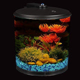 Koller Products AquaView 2-Gallon 360 Fish Tank with Power Filter and LED Lighting - AQ360-24C