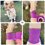 WePet Vet Wrap, Vet Tape Bulk Self-Adherent Gauze Rolls Non-Woven Cohesive Bandage First Aid for Dogs Cats Horses Birds Animals Strong Sports Tape for Wrist Healing Ankle Sprain & Swelling