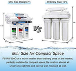 FS-TFC Reverse Osmosis Water Filtration System Under Sink Water Filter 5-Stage 100 GPD Plus Extra Set of 4 Filters for Free (FS-RO-100G-A)