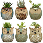 YLINGSU Cerami Succulent Cactus Plant Flower Conta 6 in Set 2.5 inch Owl Pot Ceramic Flowing Glaze Base Serial, Blue (Plants not included)