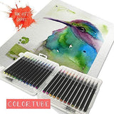 24+2pcs Pastel Markers/Drawing Pens for Artists - Brush Lettering Pens with Blending Markers/Watercolor Brush Markers for Color Painting - Brush Tip, Art Pens and Markers/Pastel Art Supplies