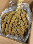 Birds LOVE Spray Millet Non-GMO for Birds Cockatiel Lovebird Parakeet Finch Canary All Parrots Healthy Treat
