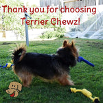 Premium Indoor and Outdoor Dog Toys Set by Terrier Chewz. Suitable Rope and Rubber Chew Toys for Small Breed Dogs and Puppys. Durable and Washable. Pack of 8