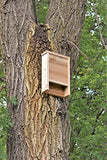 Premium Bat House | Made in USA | Western Red Cedar | Ready to install | Ideal Bat Shelter for extremely hot to warm climates | Environmentally Responsible Eco-Friendly Mosquito Control | Cedar