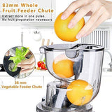 Aobosi Slow Masticating Juicer Extractor Compact Cold Press Juicer Machine with Portable Handle/Quiet Motor/Reverse Function/Juice Jug and Clean Brush for High Nutrient Fruit & Vegetable Juice