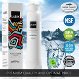 LABIX Puresource Ultra II Premium Frigidaire Compatible Water Filter Replacement FPBC2277RF and Other French Door Models (2 Pack)