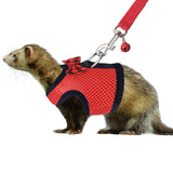 RYPET Small Animal Harness and Leash - Soft Mesh Small Pet Harness with Safe Bell, No Pull Comfort Padded Vest for Small Pet