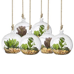 SunGrow 3 Hanging Glass Terrariums Spherical Air Plant Orb - Handmade, Heat-Resistant Glass - Create Refreshing Atmosphere in Terrace Garden - Rocks, Plants & Other Accessories NOT Included