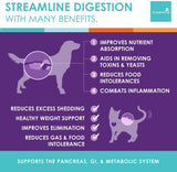 NUSENTIA Enzymes for Dogs & Cats - Enzyme Miracle - Systemic & Digestive Enzyme Formula - Powder - 364 Servings - Vegetarian