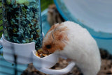 Cydnlive Automatic Pet Feeder, Hamster Hedgepig Rabbit Bird Small Animal Feeding Food Dispenser with Holder