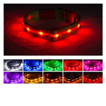 Blazin' Safety LED Dog Collar – USB Rechargeable with Water Resistant Flashing Light