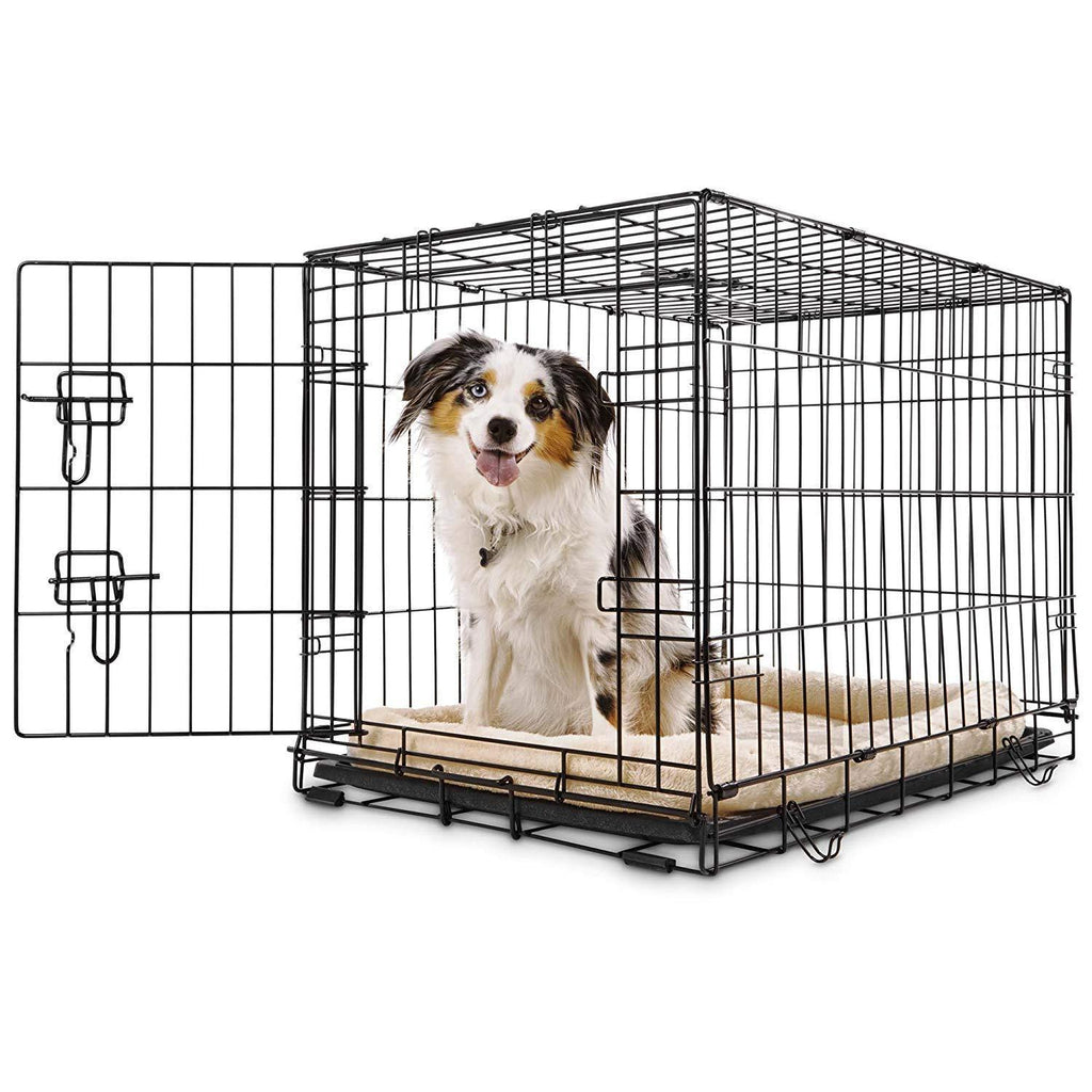 Petco Classic 1-Door Dog Crate, 36" L x 23" W x 25" H, Large, Black ...