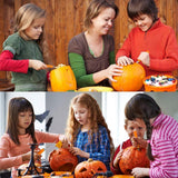 12 Pieces Professional Pumpkin Carving Tool Kit Heavy Duty Stainless Steel Tool Set with Storage Carrying Case Used As a Carving Knife for Pumpkin Halloween Decoration
