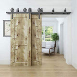 ZEKOO Rustic 6 FT by Pass Barn Doors Hardware Sliding Black Steel Big Wheel Roller Track for Double Wooden Doors