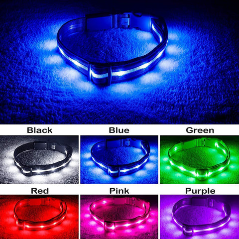 Blazin' Safety LED Dog Collar – USB Rechargeable with Water Resistant Flashing Light