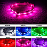 Blazin' Safety LED Dog Collar – USB Rechargeable with Water Resistant Flashing Light